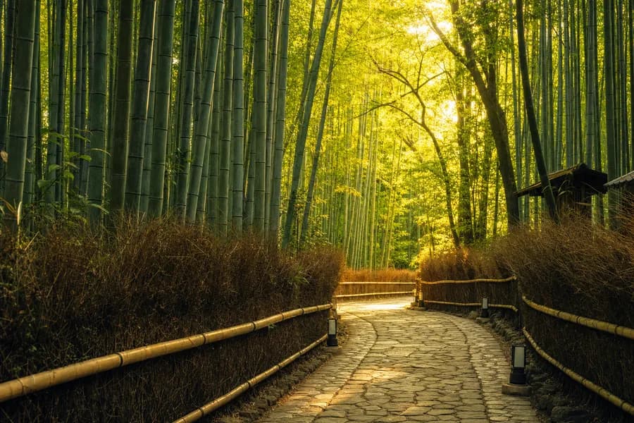 京都 嵐山